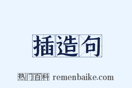 插造句是什么意思的图片